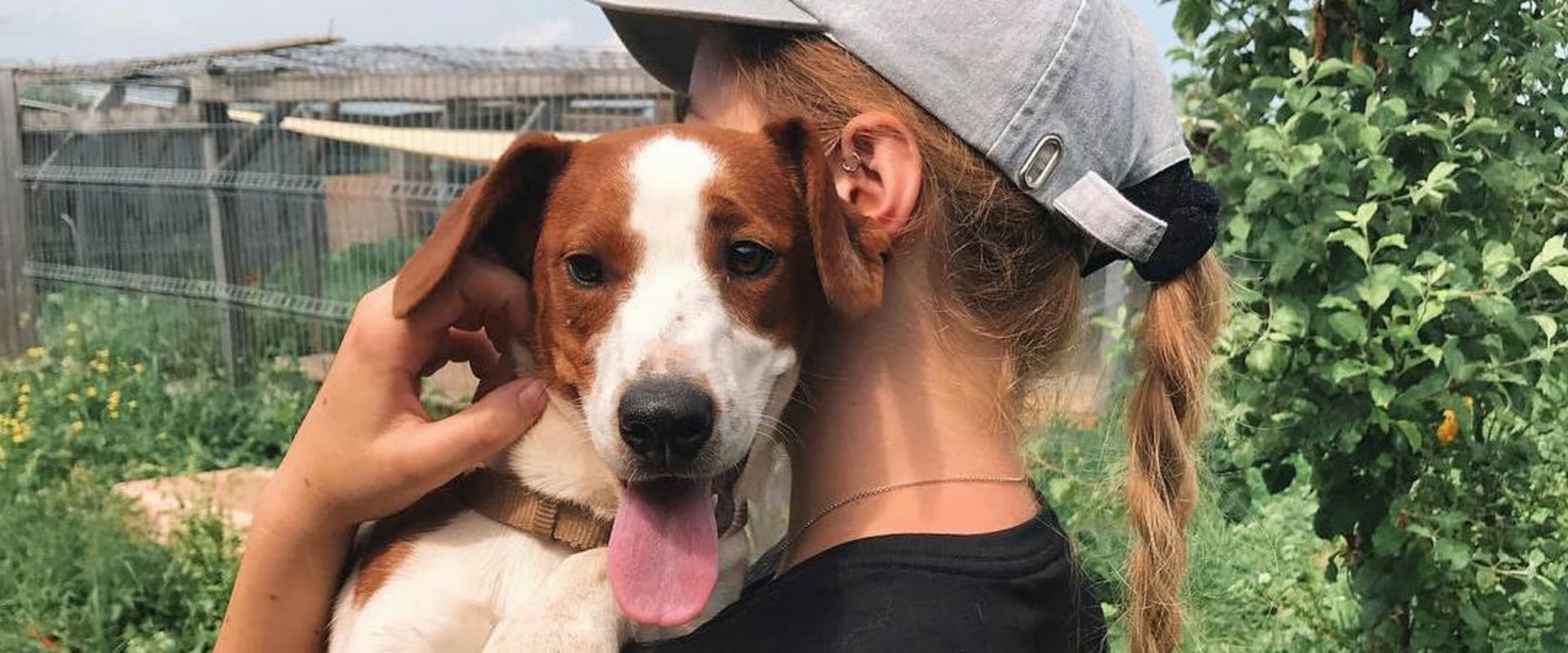 The Impact of Volunteering with Animals in Southern California