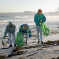 The Impact of Volunteering in Southern California