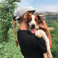 The Impact of Volunteering with Animals in Southern California