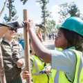 The Power of Volunteers in Shaping Southern California's Arts and Culture Scene
