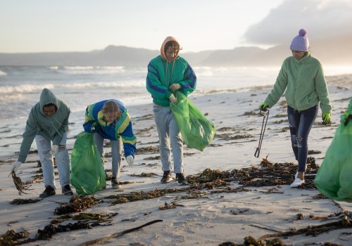 The Impact of Volunteering in Southern California