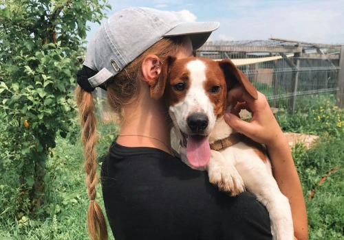 The Impact of Volunteering with Animals in Southern California